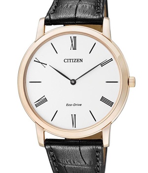 ĐÔNG HỒ CITIZEN AR1113 - 12B